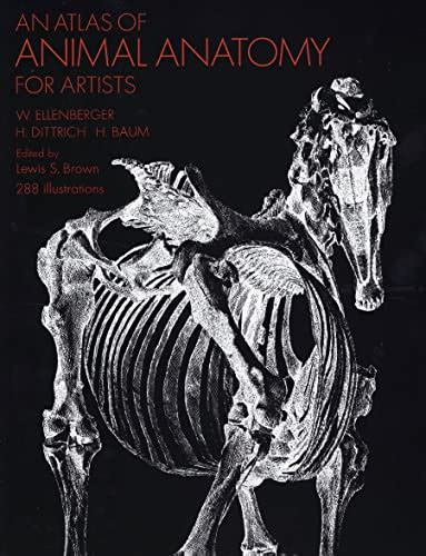 an atlas of animal anatomy for artists dover anatomy for artists Doc